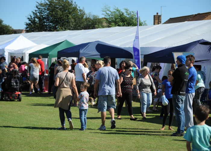 Town Show and Family Fun Day