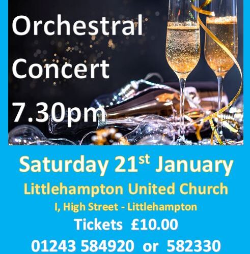 New Year Orchestral Concert – Edwin James Festival Orchestra