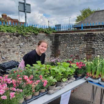 Littlehampton May Fair & Huge Plant Sale