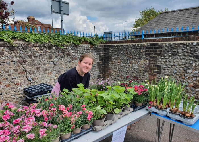 Littlehampton May Fair & Huge Plant Sale