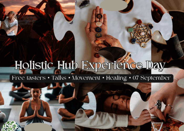 Holistic Hub Experience Day