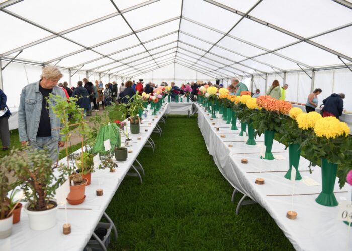 Town Show and Family Fun Day