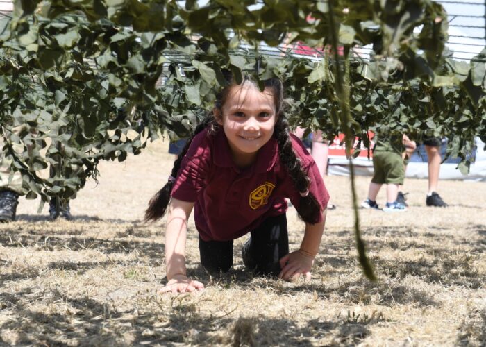Armed Forces, Families and Veterans Day